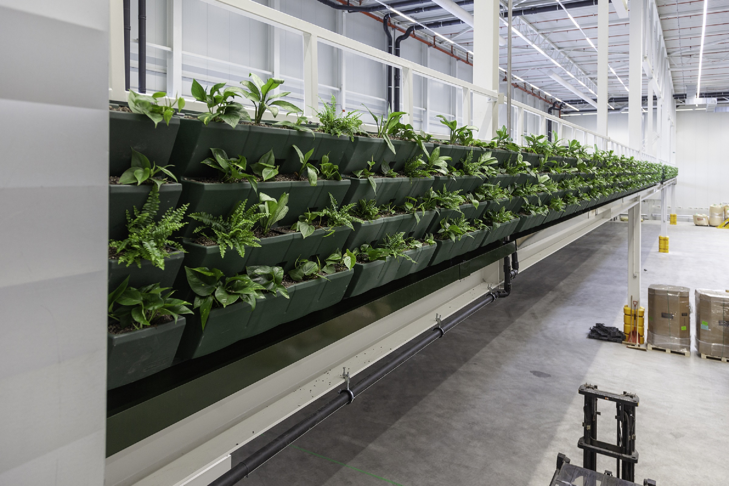 WELL Building feature - warehouse planten WELL Building feature - warehouse planten