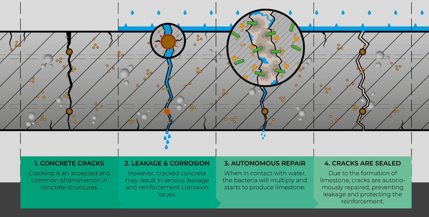 Infographic effect self-healing concrete