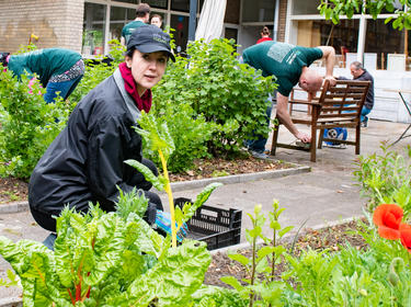 IMPACT 2018 Gardening IMPACT 2018 Gardening
