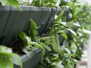 WELL Building feature - planten WELL Building feature - planten