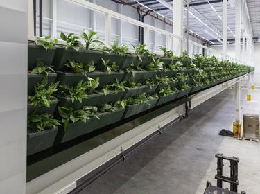 Prologis ParkLife Wellbeing Prologis ParkLife Wellbeing