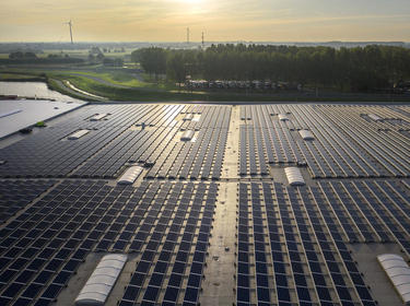 Solar panels on a roof with greenery in the back