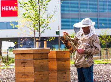A Beekeeper with wooden boxes infront of a warehouse