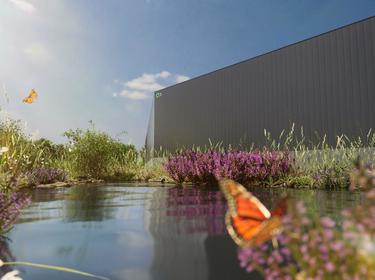 rendering of a warehouse in the background, a lake infront and a butterfly sitting on the water