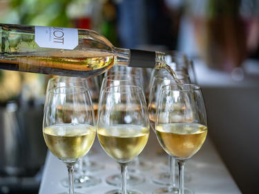Get Together drinks